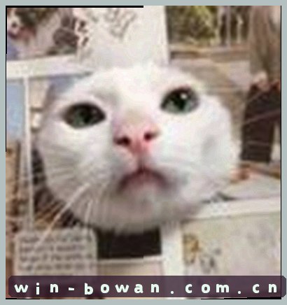 孙鹏