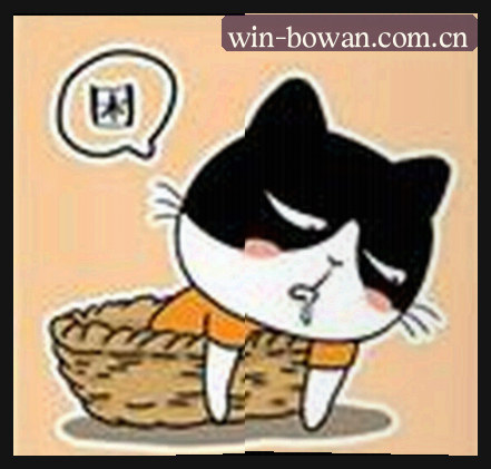 周晓雅